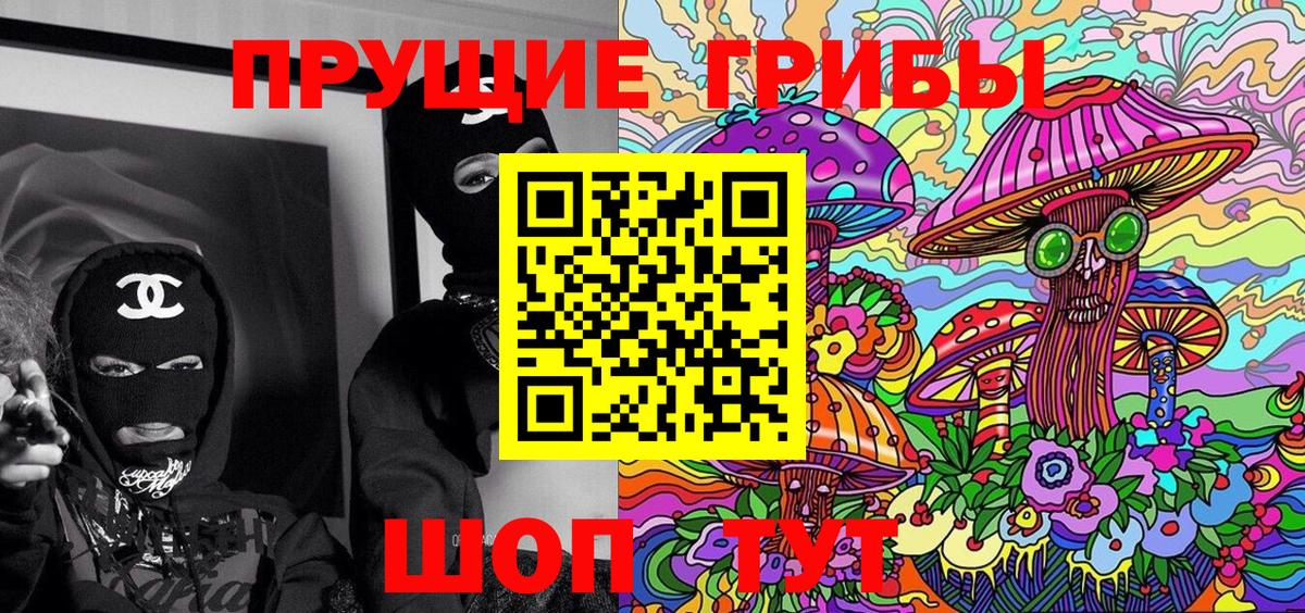 Электрогорск  Галлюциногенные грибы мицелий  Вход с VPN 