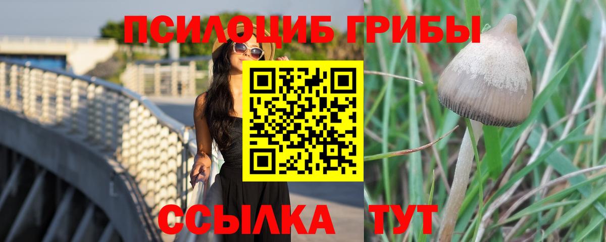 Галлюциногенные грибы прущие грибы Электрогорск