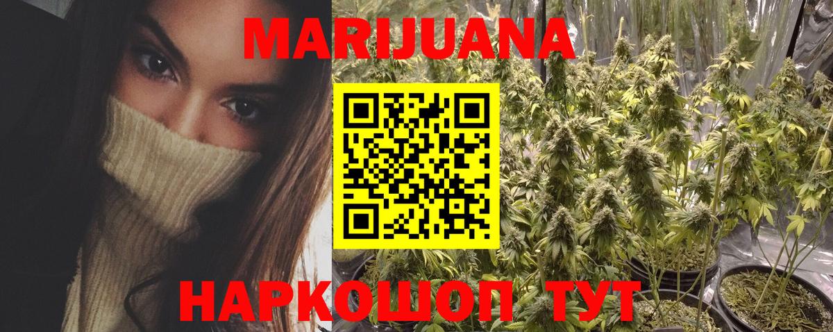 Конопля Bruce Banner Электрогорск